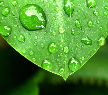 Environment, Controllers, PH, EC & Co2