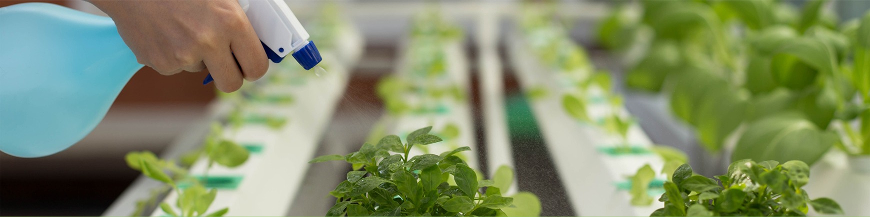 Hydroponic Guides & Resources | HydroGarden NZ Downloads Banner