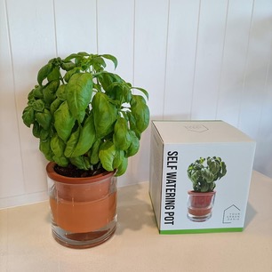 Urban Oasis Self Watering Pot