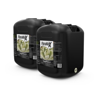 Floramax VegaFlora A+B 20L